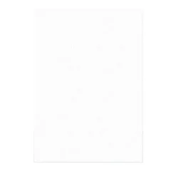 Cerf Dellier 8 X 100 Feuilles azyme striées 60 x 50 cm 0,3 mm (x 800) Hot