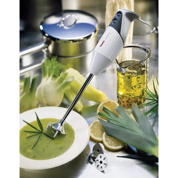 Cerf Dellier Bamix mixeur Gastro 200 blanc tube 18,5 cm Clearance