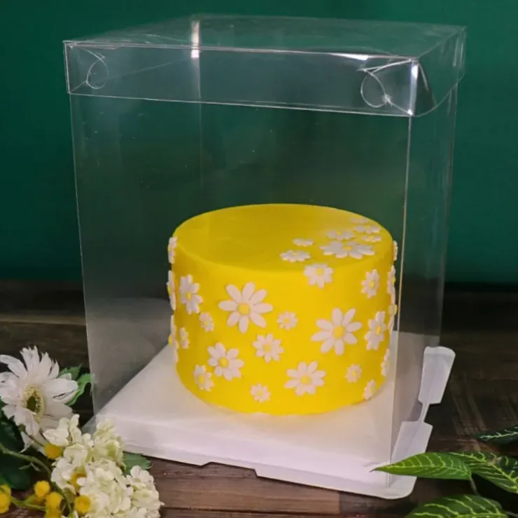 Cerf Dellier Boîte gâteau transparente - 30 x 30 x 35 cm Online