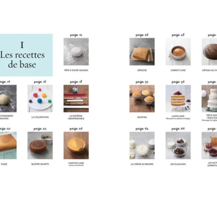 Cerf Dellier Cake design premiers pas - Sally François