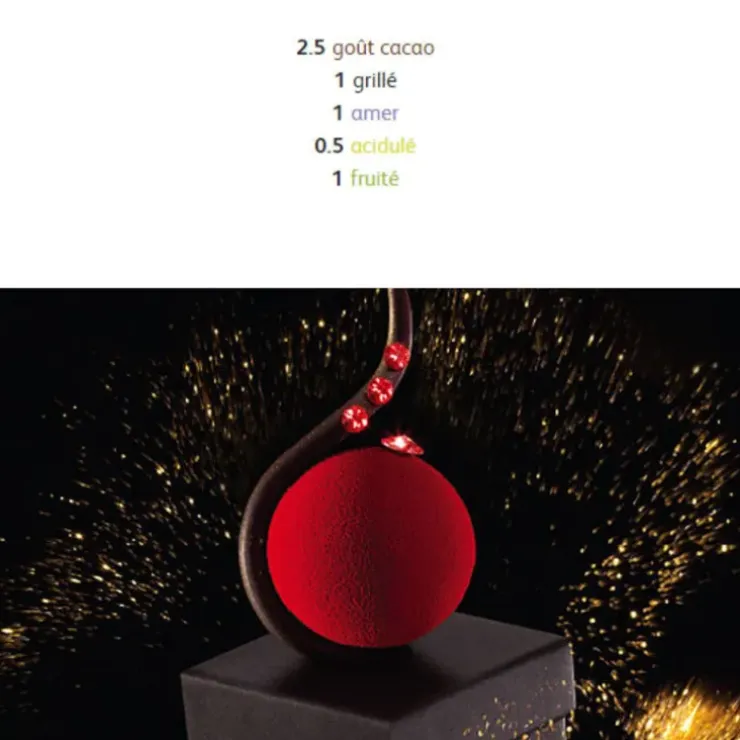 Cerf Dellier Chocolat de Couverture Noir Excellence pistoles 55 % 5 kg Best