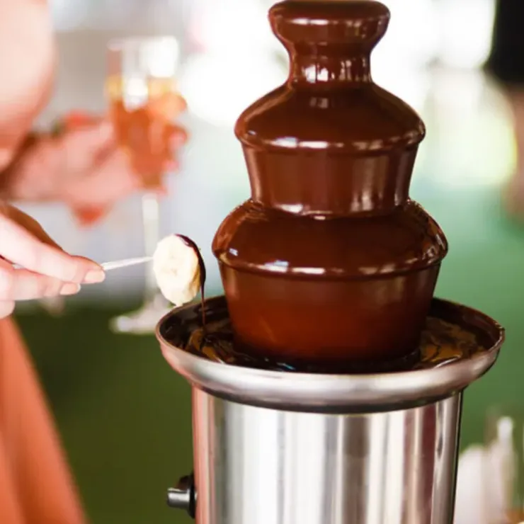 Cerf Dellier Chocolat Noir pour Fontaine 250 g