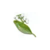 Cerf Dellier Décor Muguet 1er Mai plastique (x 144) Hot