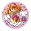 Cerf Dellier Disque azyme Pat Patrouille Stella 20 cm Online