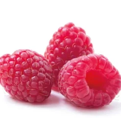 Cerf Dellier Extrait de framboise 20% 50 ml Clearance