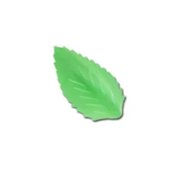 Cerf Dellier Feuille de rose azyme verte (x50) Discount