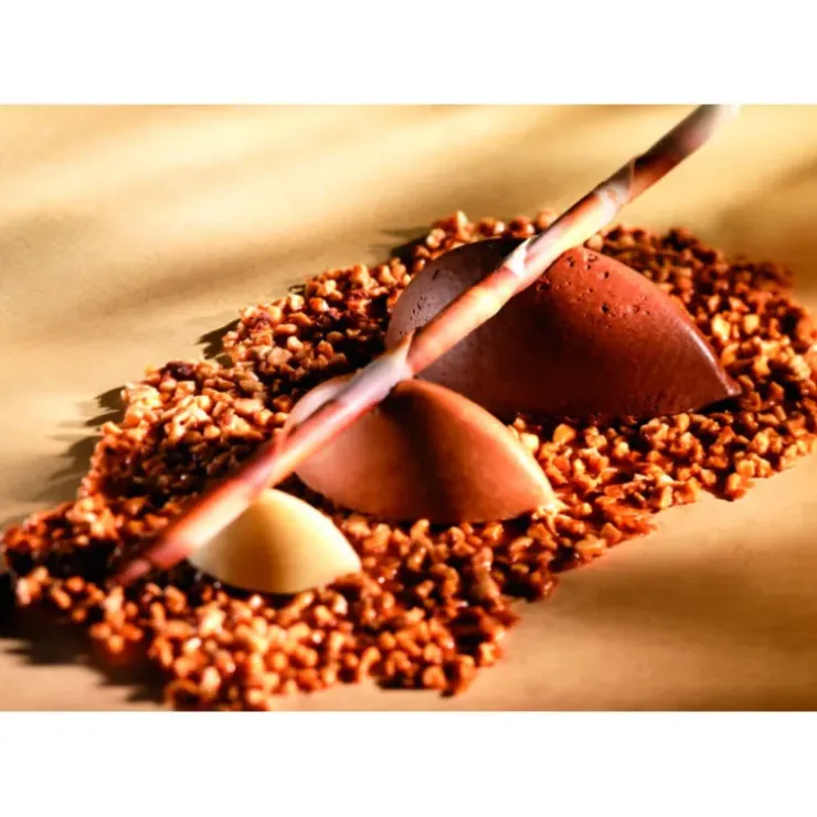 Cerf Dellier Flexipan 60x40 plaque de 100 petites quenelles 4,4x2,2x1,7 cm