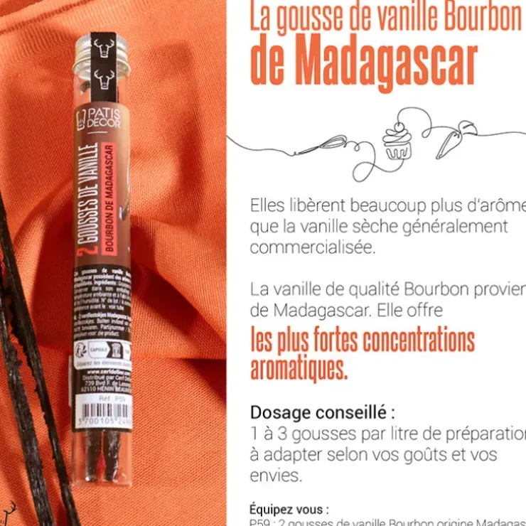 Cerf Dellier Gousse de Vanille Bourbon Madagascar (x2)