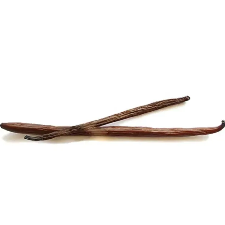 Cerf Dellier Gousse de Vanille Bourbon Madagascar (x2)