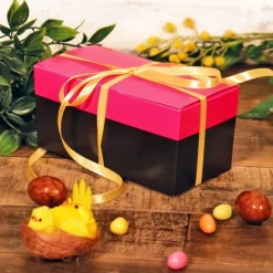 Cerf Dellier Kit ballotin chocolats fuchsia / noir 375 g Online