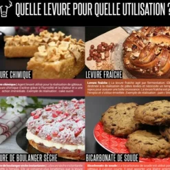 Cerf Dellier Levure instantanée spéciale pizza 125 g - DDM 02/25