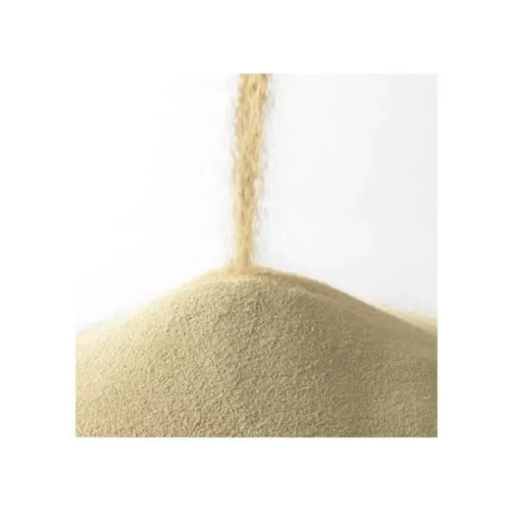 Cerf Dellier Levure sèche instantanée Saf-Instant 500 g Discount