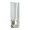 Cerf Dellier Lot sachets fond cartonné - 10 x 18 cm (x100) Discount