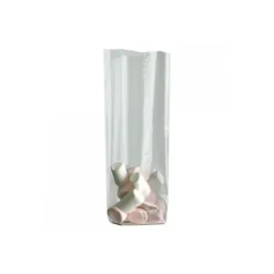 Cerf Dellier Lot sachets transparents fond plat - 100x60x280mm (x50) Best