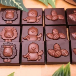 Cerf Dellier Moule carrés chocolat napolitains Pâques Discount