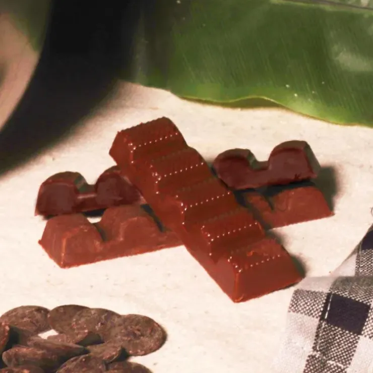 Cerf Dellier Moule chocolat en 3 parties petites barres Online