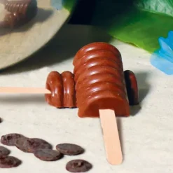 Cerf Dellier Moule chocolat en 3 parties glaces à spirales