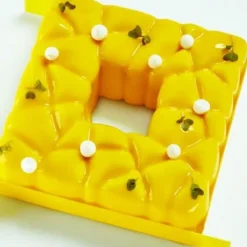 Cerf Dellier Moule silicone Square Pavoni Discount