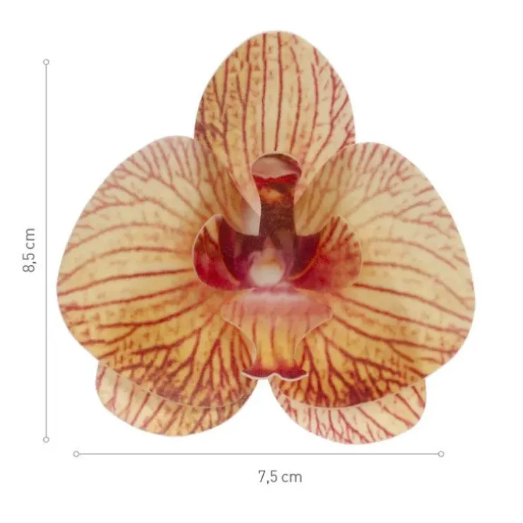 Cerf Dellier Orchidées jaunes azyme (x10) Online