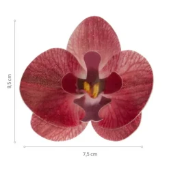 Cerf Dellier Orchidées rouges azyme (x10) Best