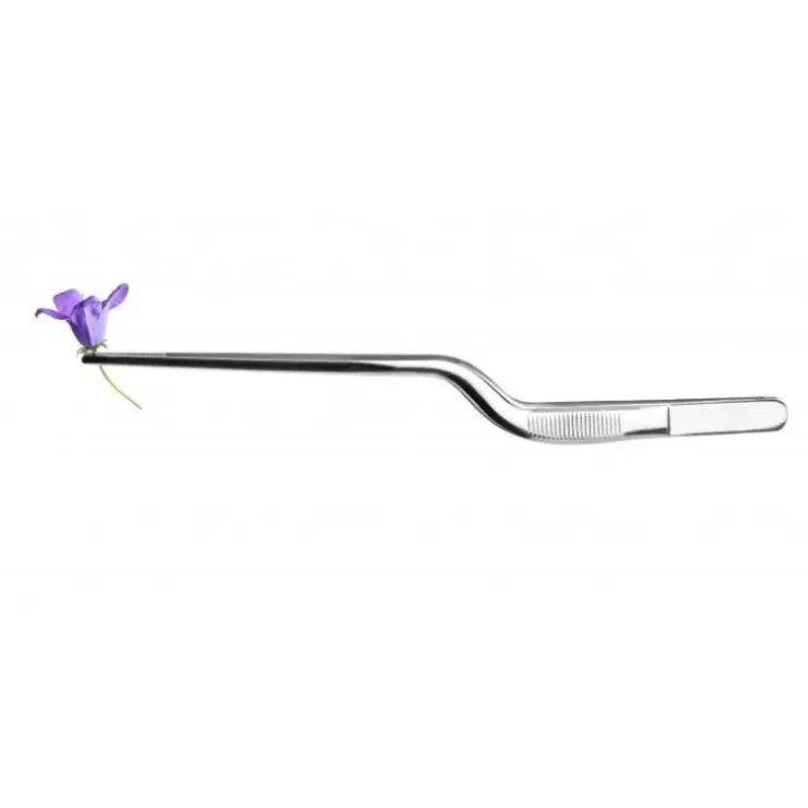 Cerf Dellier Pince à dresser courbée inox 21 cm