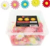 Cerf Dellier Pâquerettes assorties en azyme (x200) Online