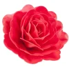 Cerf Dellier Rose rouge géante azyme New