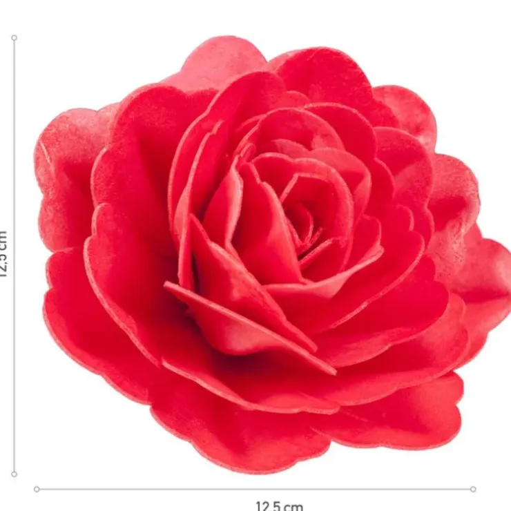 Cerf Dellier Rose rouge géante azyme New