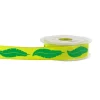Cerf Dellier Ruban plumes anis 25 mm (20 m) Online
