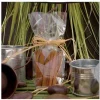 Cerf Dellier Sachets plats polypropylène - 90 x 180 mm (x100) Discount