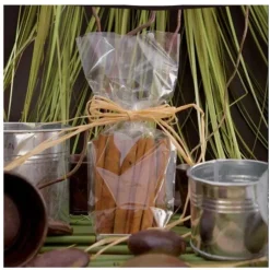 Cerf Dellier Sachets plats polypropylène - 70 x 130 mm (x100) Best