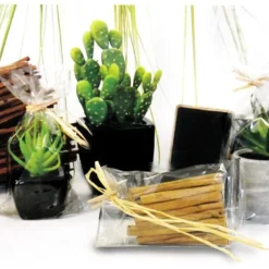 Cerf Dellier Sachets plats polypropylène - 120 x 240 mm (x100) Discount