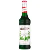 Cerf Dellier Sirop de Menthe Verte 700 ml Best