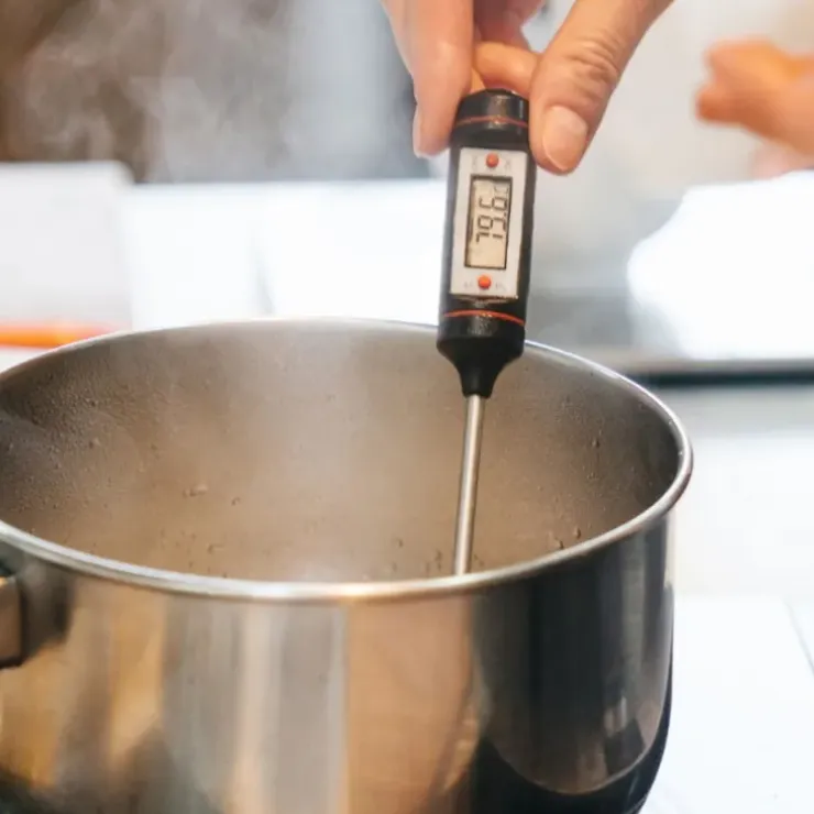 Cerf Dellier Thermomètre de cuisine digital électronique Sale