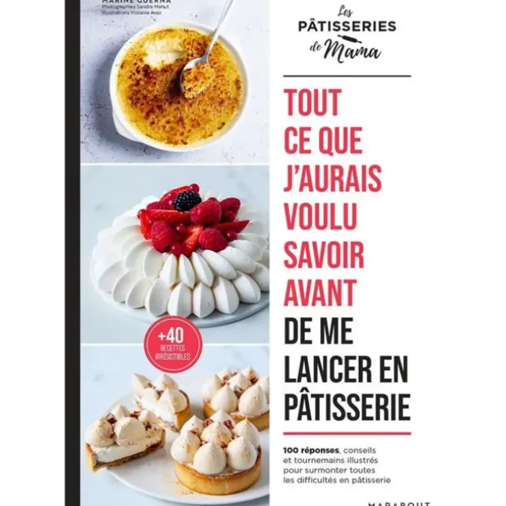 Cerf Dellier Tout ce que j'aurais voulu savoir avant de me lancer en pâtisserie Discount